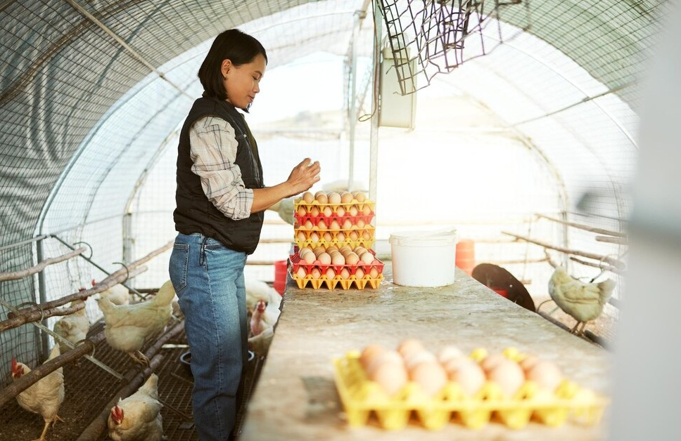 7 Chiến Lược Marketing Hiệu Quả Cho Doanh Nghiệp Chăn Nuôi: Tăng Doanh Thu & Xây Dựng Thương Hiệu