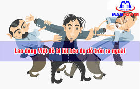 Cảnh báo về tình trạng bỏ trốn khi đi lao động Nhật Bản: Hệ lụy nặng nề và lời khuyên dành cho lao động Tây Bắc